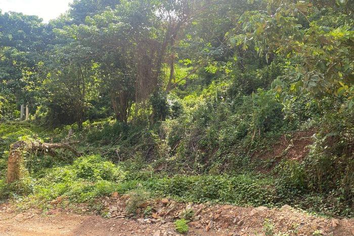 04-venta-terreno-T-VI-2-las terrenas