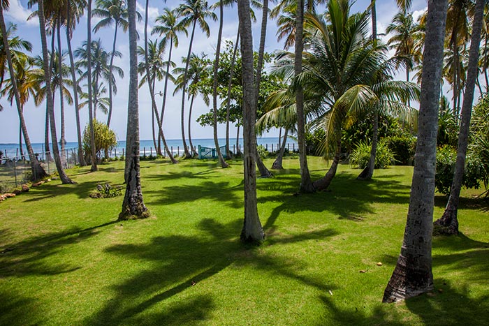 villa allegra alquiler villa las terrenas 02