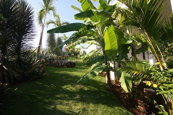casa-21 se vende villa de lujo - Las Terrenas-06