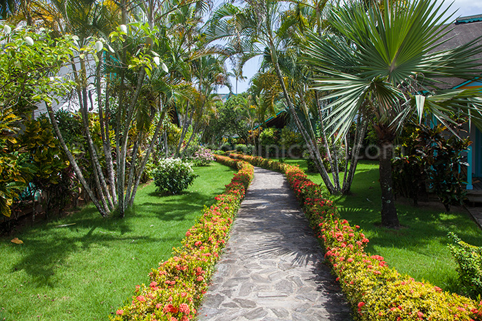 garden las palmas location bungalow las terrenas 02