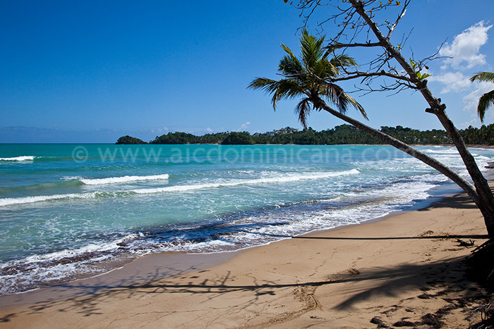 gaviotas a2 alquiler apartamento las terrenas 18