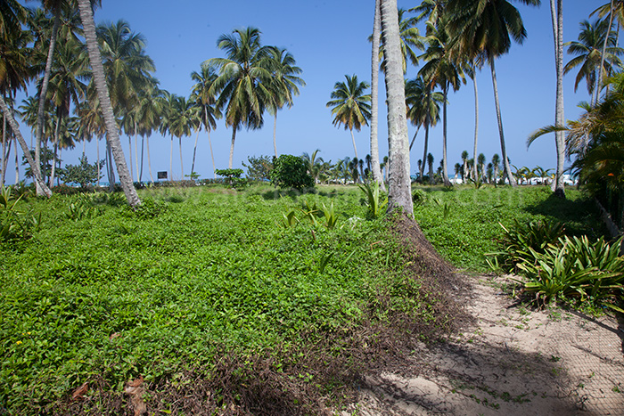 playa del rio 11