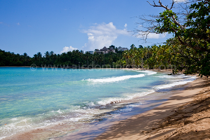 villa querida alquiler villa las terrenas 32