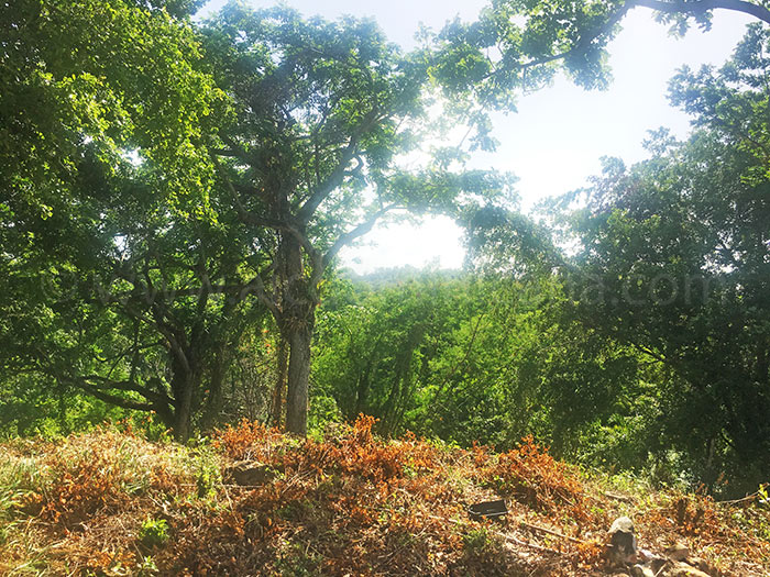 se vende terreno Loma Esperanza, La Barbacoa