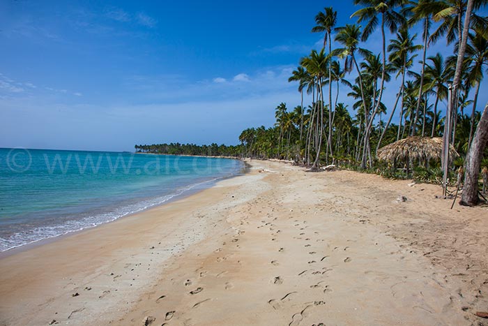 villa-del-mar-alquiler-villa-las-terrenas-04