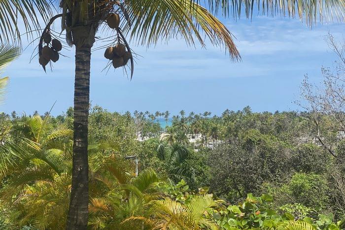 01 venta penthouse colinas al mar coson las terrenas