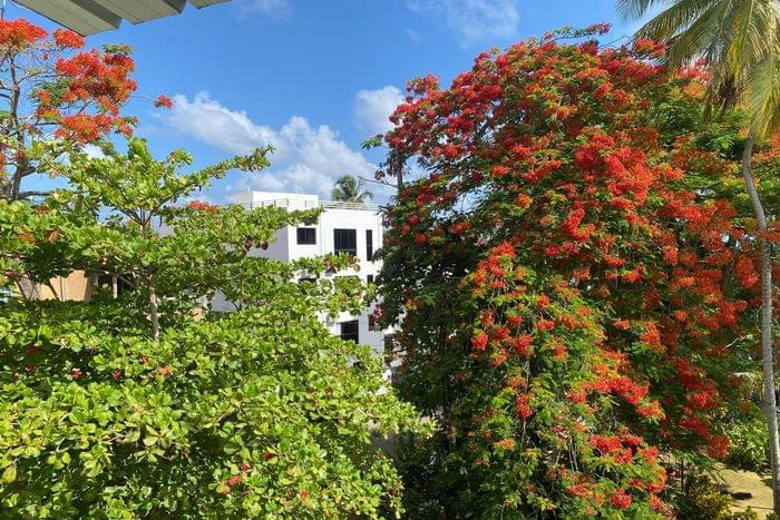 04 venta appartemento la residencia las terrenas