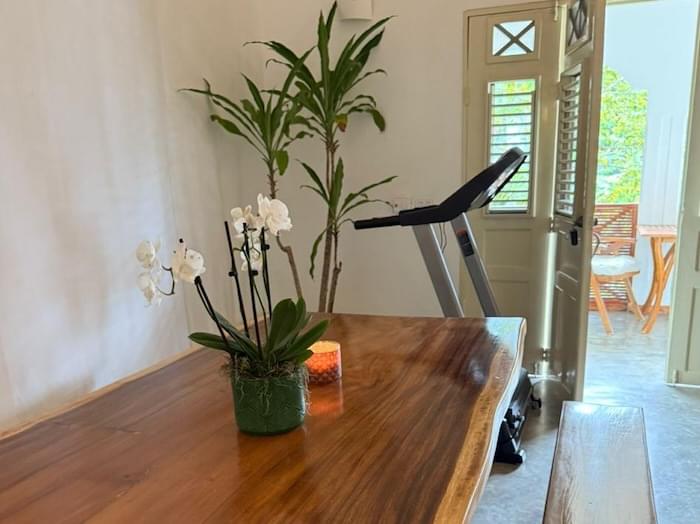Plantation pavlova venta propriedad las terrenas 03