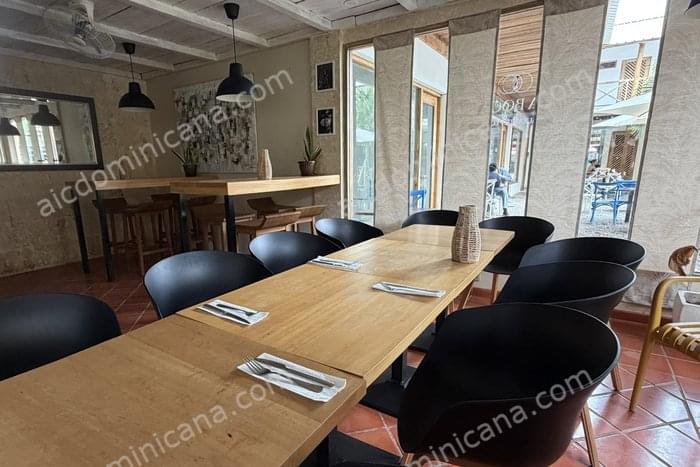 01C RE8 re8 venta restaurant las terrenas.jpg