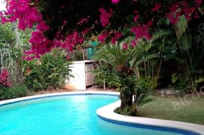 Casa ballenas