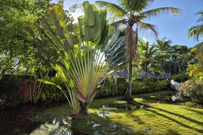 Villa caipe venta propriedad les Terrenas 05